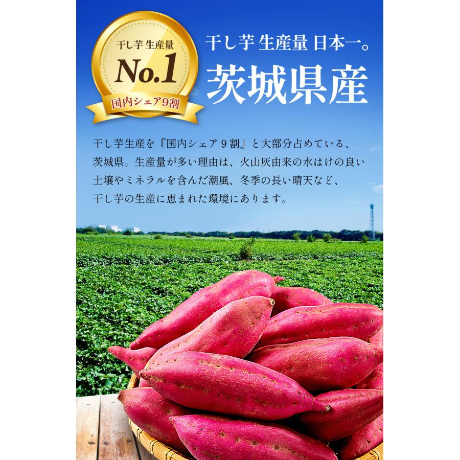 甲羅組 送料無料 1,000円ポッキリ！更にまとめ買いクーポンも！茨城県