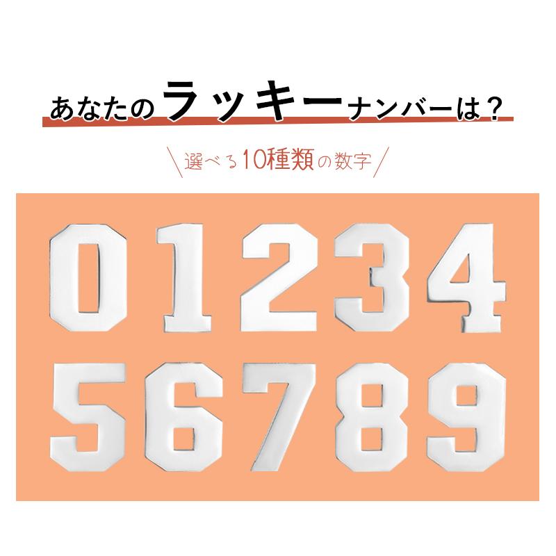 名入れ キーホルダー 番号 数字 ナンバー ネームプレート キーリング