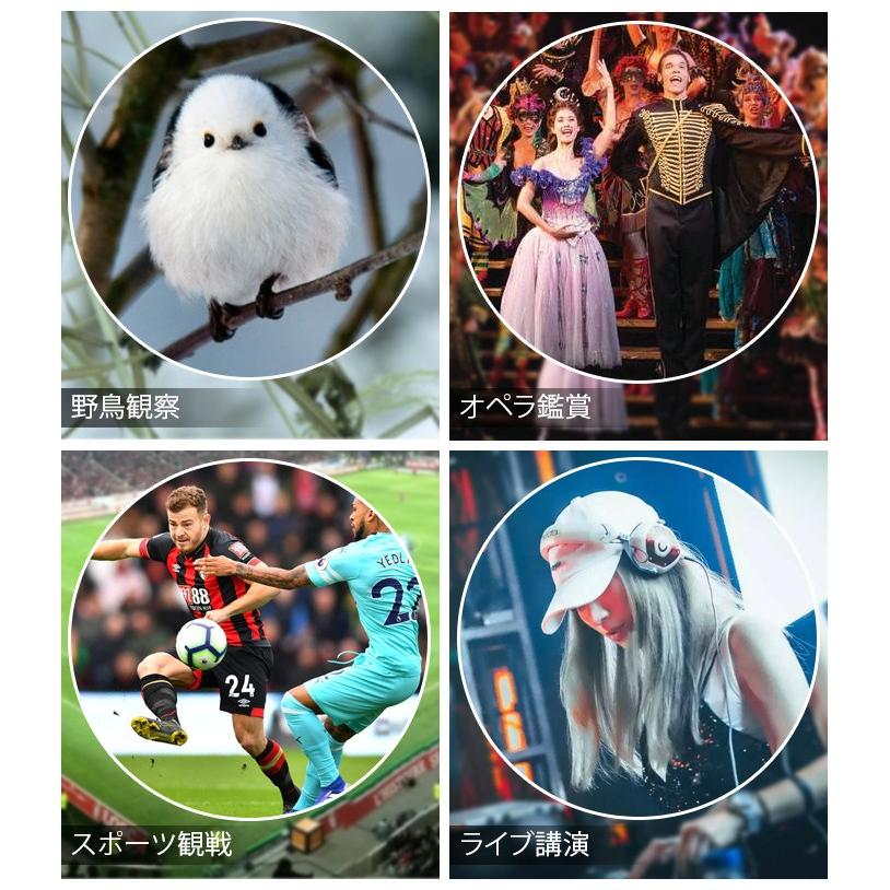 OPERA　オペラ　フレームセット DAVOS ( ダボス ) グラベルフレーム D604 VER.2 フレームセット