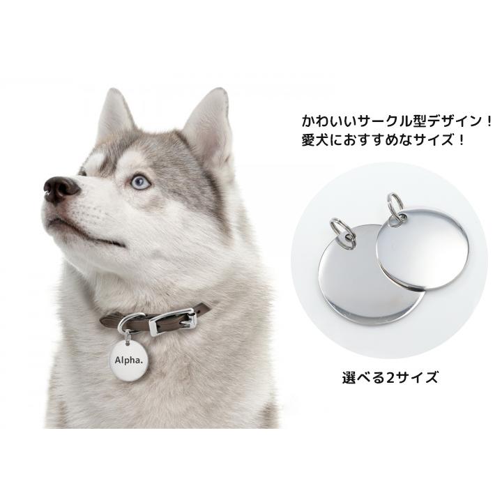 正規品新品未使用品 中 大型犬 迷子札 2サイズ ペット オイルスリック 犬 わんちゃん リング2個付 サークル型 Idタグ サージカルステンレス 名入れ お名前 電話番号刻印 飼い主 Discoversvg Com