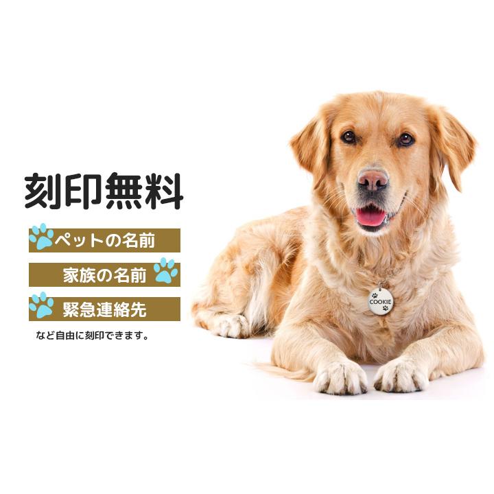 中 大型犬 迷子札 2サイズ ペット オイルスリック 犬 わんちゃん リング2個付 サークル型 Idタグ サージカルステンレス 名入れ お名前 電話番号刻印 飼い主 Roryxtyle 7c Npa Na 009tg Queens Land 通販 Yahoo ショッピング