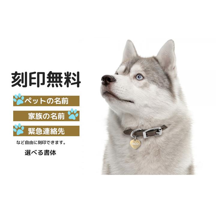 迷子札 ペット IDタグ犬 猫 ハート ステンレス ネームタグ 首輪 名前タグ 名入れ お名前&電話番号刻印 飼い主 名入れ工房 きざみ屋 KIZAMIYA 首輪、ハーネス、リード 迷子札 六角形 IDタグ 3サイズペット 犬 猫 リング3個付 ステンレス ネームタグ 刻印無料サービス 名入れ工房 きざみ屋 KIZAMIYA
