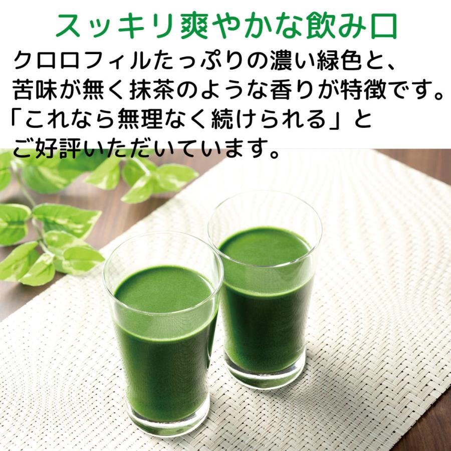 新品 正規品 ポイント5倍 シェイカー付き3袋セット ソーキ 青汁 有機jas ティムさん 食物繊維 葉酸 ビタミン ミネラル 乳酸菌入りニュージーランドの大麦若葉 225g Wantannas Go Id
