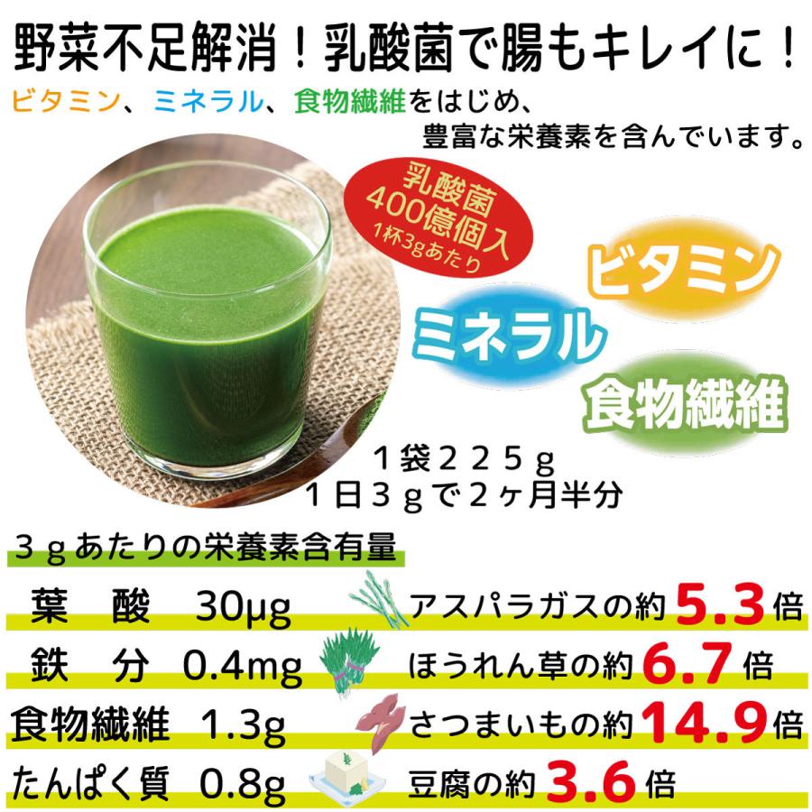 新品 正規品 ポイント5倍 シェイカー付き3袋セット ソーキ 青汁 有機jas ティムさん 食物繊維 葉酸 ビタミン ミネラル 乳酸菌入りニュージーランドの大麦若葉 225g Wantannas Go Id