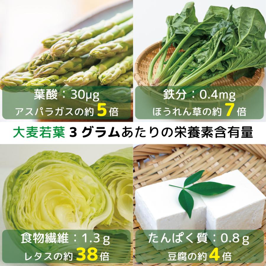 定期購入で10％off！ 大麦若葉 青汁 粉末 乳酸菌 オーガニック 葉酸 有機 JAS ソーキ 乳酸菌入りニュージーランドの大麦若葉 90g クリスマス | SOOKI | 05