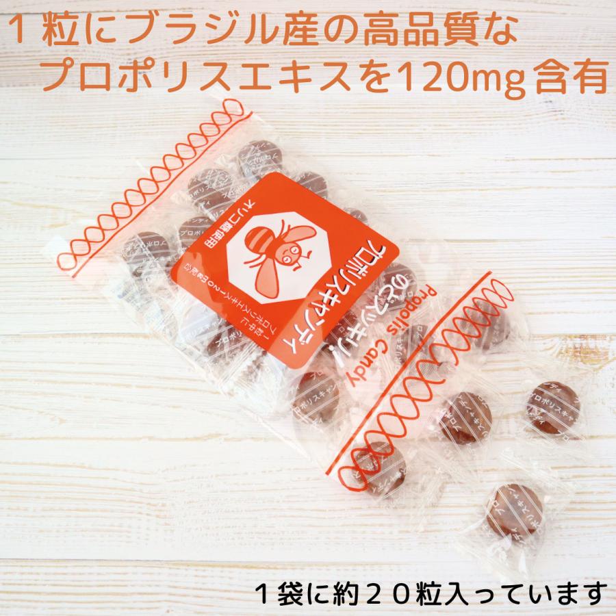キャンディ のど飴 プロポリス ソーキ プロポリスキャンディ 100g ホワイトデー |  | 01