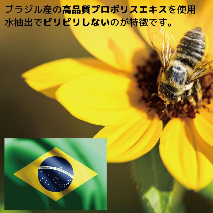 キャンディ のど飴 プロポリス ソーキ プロポリスキャンディ 100g ホワイトデー |  | 04