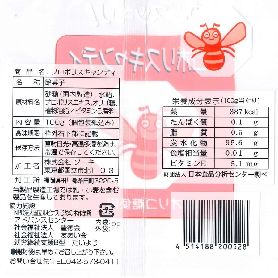 ソーキ のど飴 プロポリス高含有 ニッキ ハッカ シナモン メントール プロポリスキャンディ 100g｜sooki-ec｜06