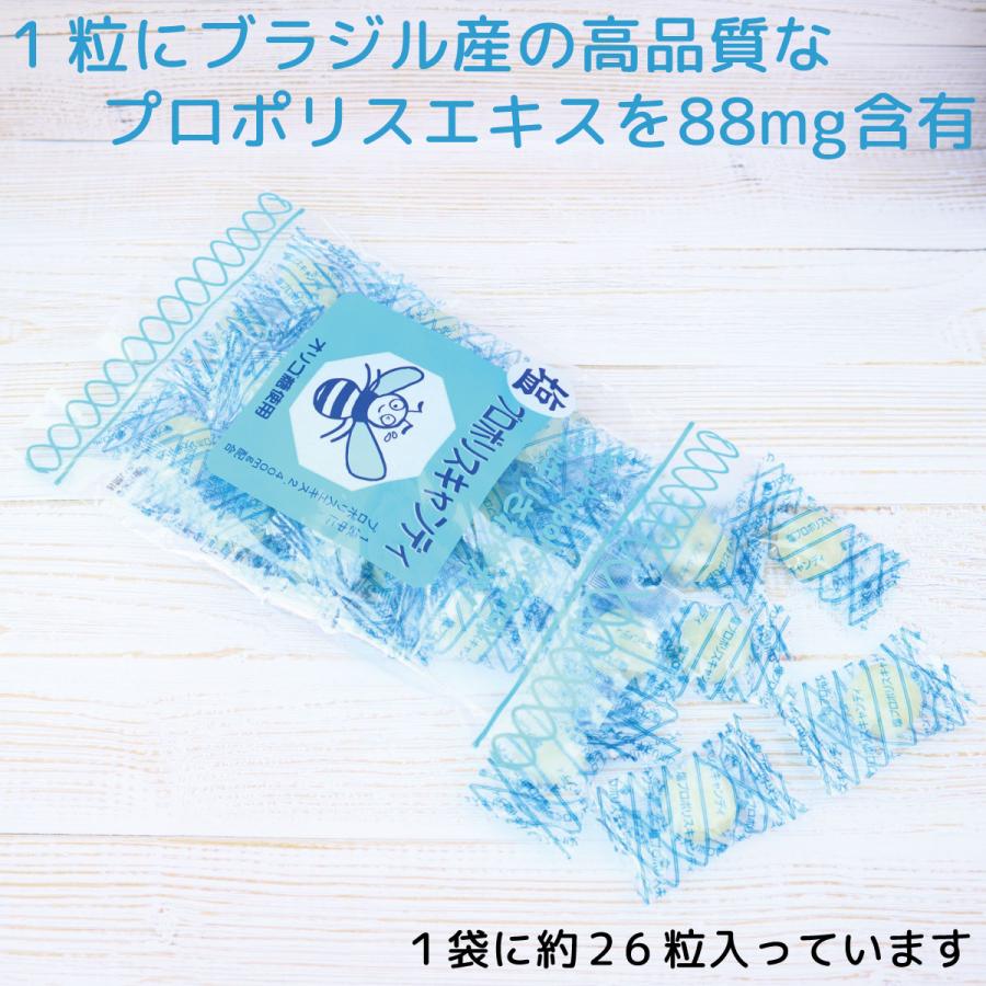 キャンディ のど飴 塩飴 プロポリス ソーキ 塩プロポリスキャンディ 100g お歳暮 | SOOKI | 01