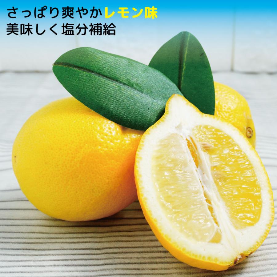 キャンディ のど飴 塩飴 プロポリス ソーキ 塩プロポリスキャンディ 100g お歳暮 | SOOKI | 02