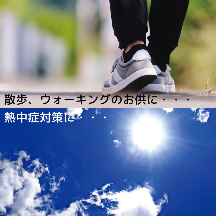 キャンディ のど飴 塩飴 プロポリス ソーキ 塩プロポリスキャンディ 100g お歳暮 | SOOKI | 05