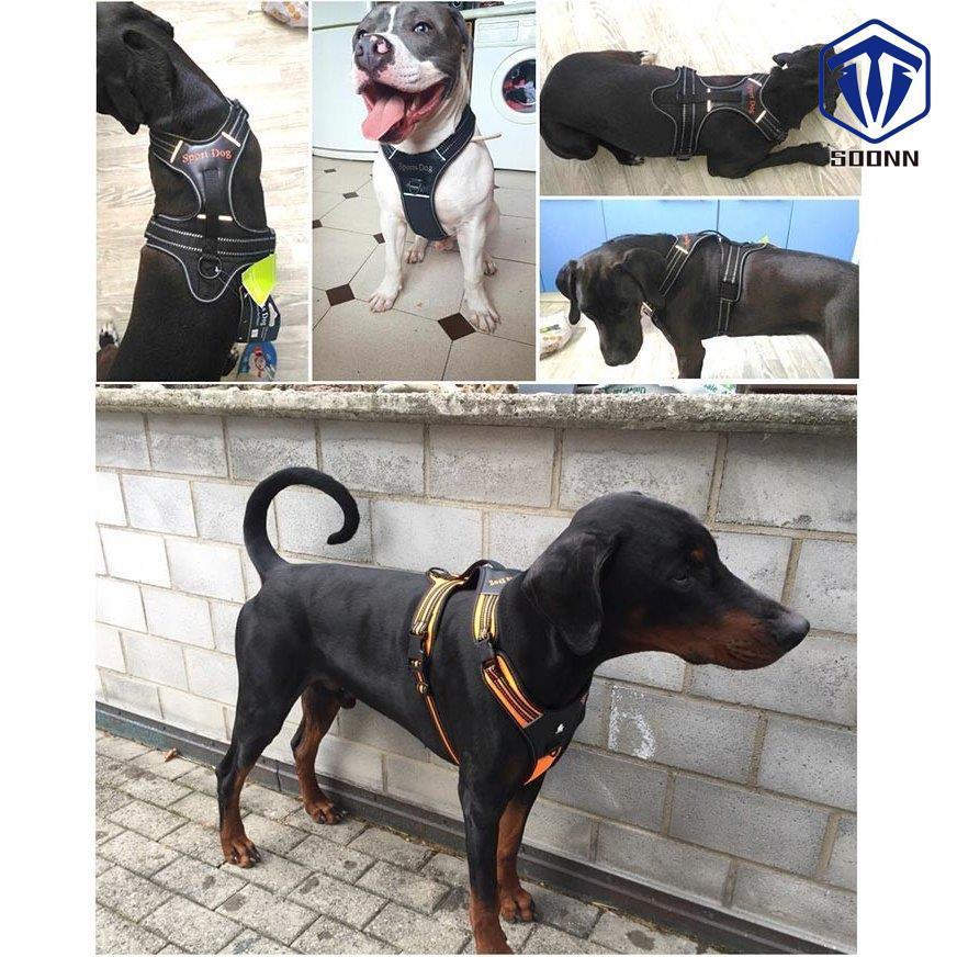 犬 ハーネス ベスト ペット 服 胴輪 キャット ドッグ メッシュ ドッグウェア 大型犬 中型犬 :q74-nicepet56:SOONN - 通販 - Yahoo!ショッピング 犬 ハーネス ベスト ペット 服 胴輪 キャット ドッグ メッシュ ドッグウェア 大型犬 中型犬 :q74-nicepet56:SOONN - 通販 - Yahoo!ショッピング