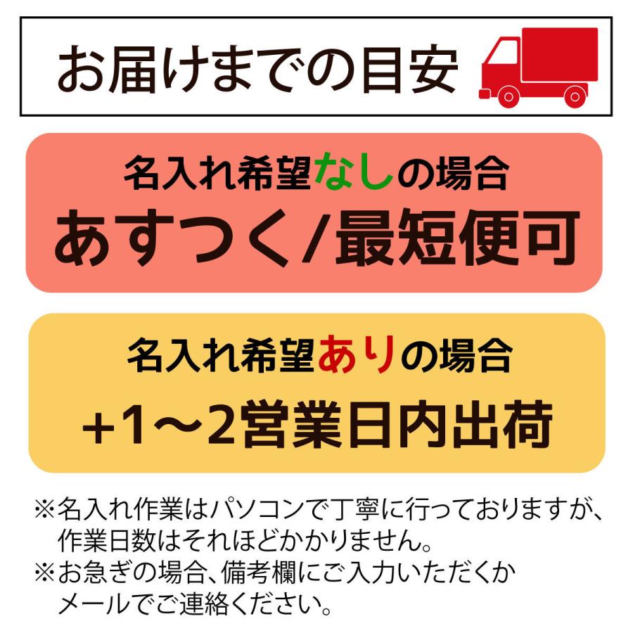 積み木 1歳 おもちゃ 知育玩具 名入れ はじめての 赤ちゃん 音つみき入り 名前入り 遊び方ガイドつき 型はめフタ 22p つみきセット 木箱つき 売れ筋