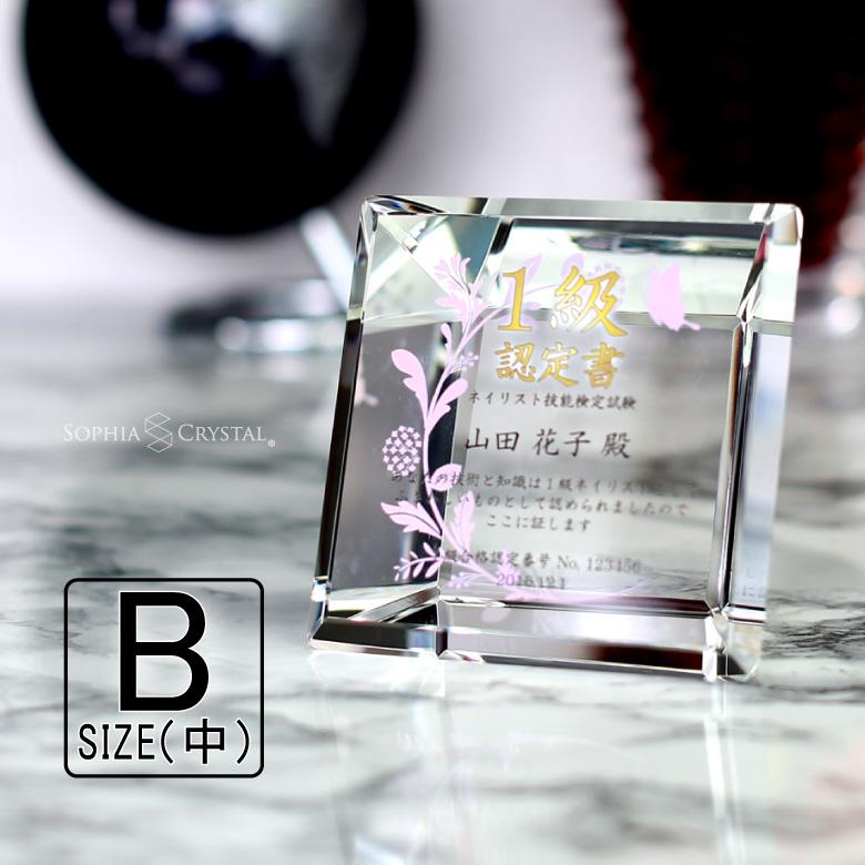 クリスタル トロフィー Cr 27b 中 名入れ 記念品 表彰状 退職記念 周年記念 おしゃれ ゴルフ 優勝 ギフト 超可爱 イベント 創立記念 プレゼント スポーツ