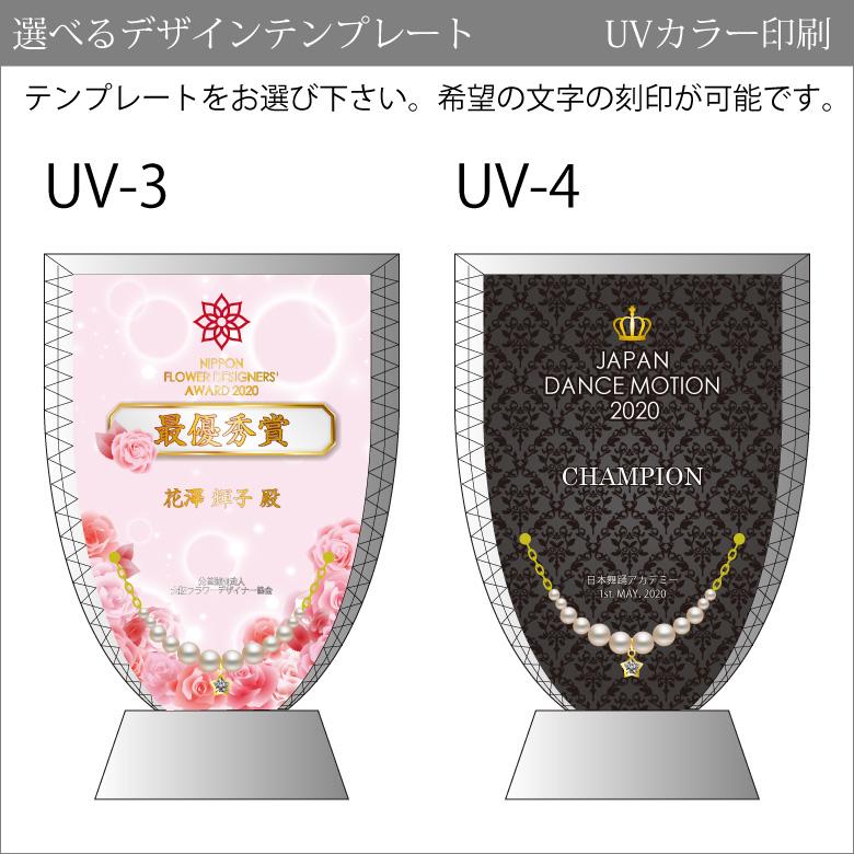 即納 最大半額 クリスタル ジュエリー 表彰盾 Dp 1b Jw 中 名入れ ミスコン ネイル コンテスト スワロフスキー 表彰状 卒業 感謝 退職記念 周年記念 創立記念 ゴルフコンペ スポーツ イベント 優勝 トロフィー プレゼント ギフト おしゃれ 記念品 Dpj 1b 21年