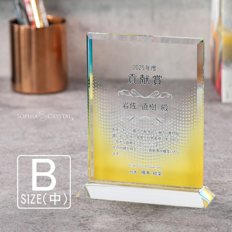 格安販売の トロフィー ガラス 盾 Ps 7b 中 名入れ 記念品 表彰状 表彰 楯 卒業 退職祝い 周年記念 創立記念 ゴルフ スポーツ イベント プレゼント ギフト