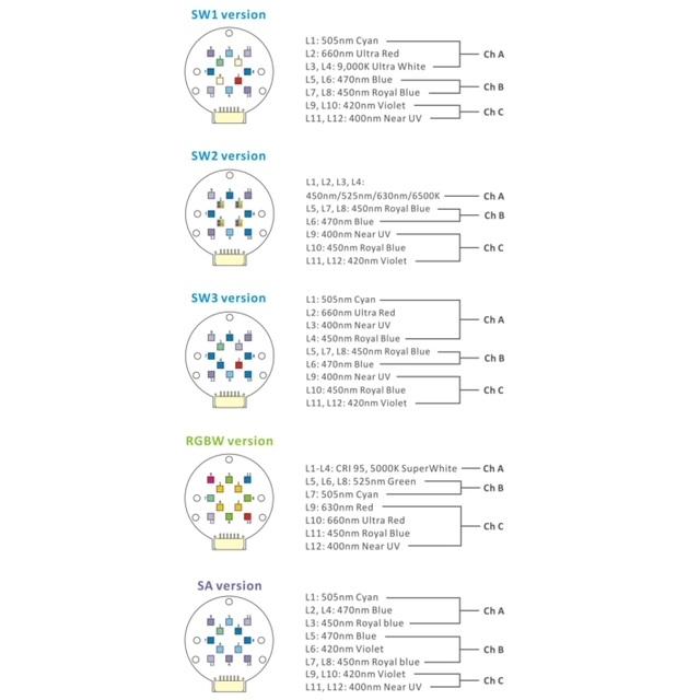 illumagic X4 イリューマジック ワイヤーキット付 添加剤 サンゴ さん