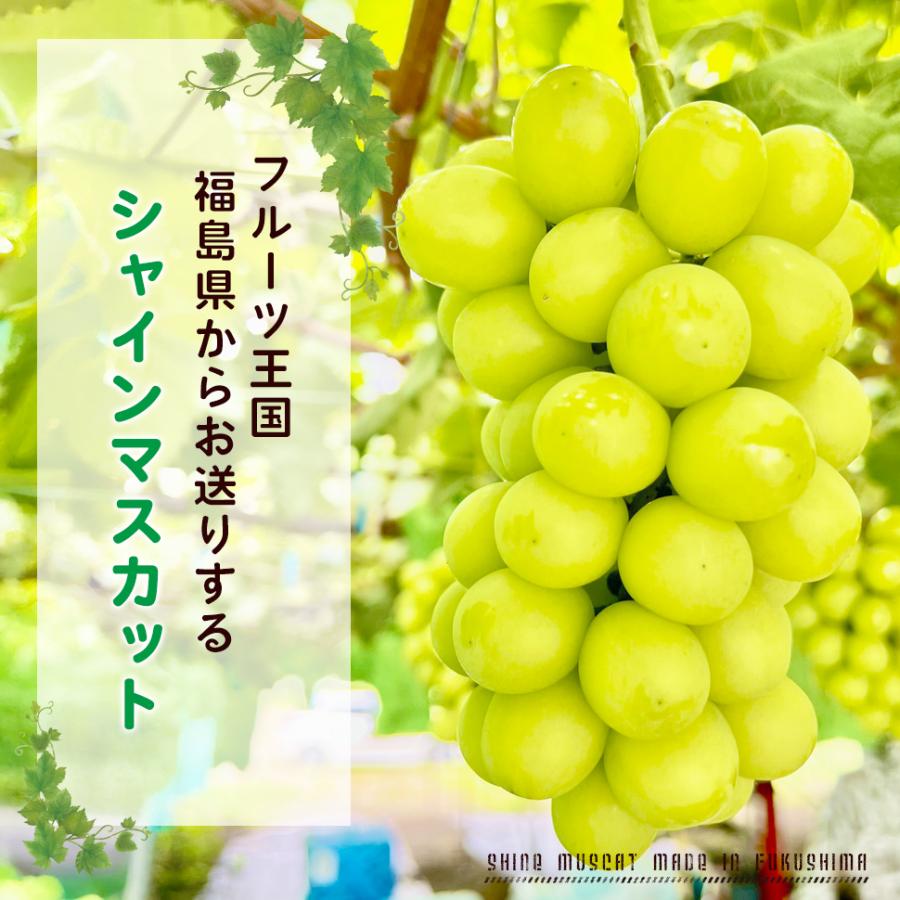 シャインマスカット ２kg箱 （２〜５房入り） 福島 うまい 訳あり ギフト 贈答用 箱入り ぶどう 極甘プレミアム のし メッセージカード_1