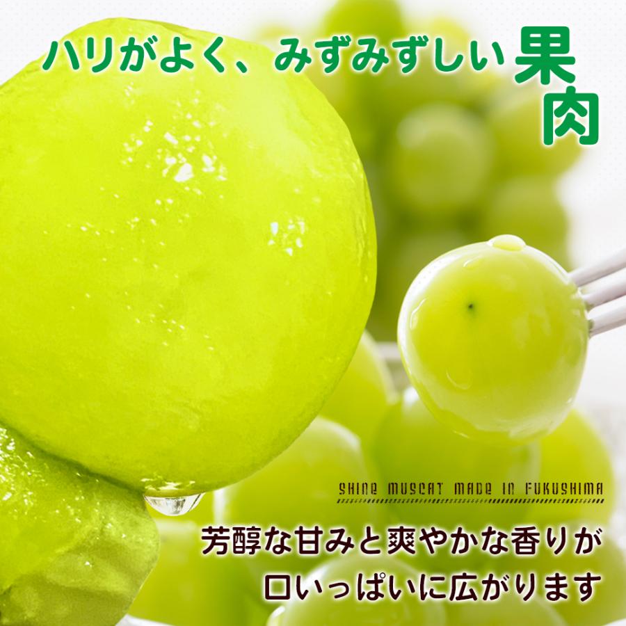 シャインマスカット ２kg箱 （２〜５房入り） 福島 うまい 訳あり ギフト 贈答用 箱入り ぶどう 極甘プレミアム のし メッセージカード_2