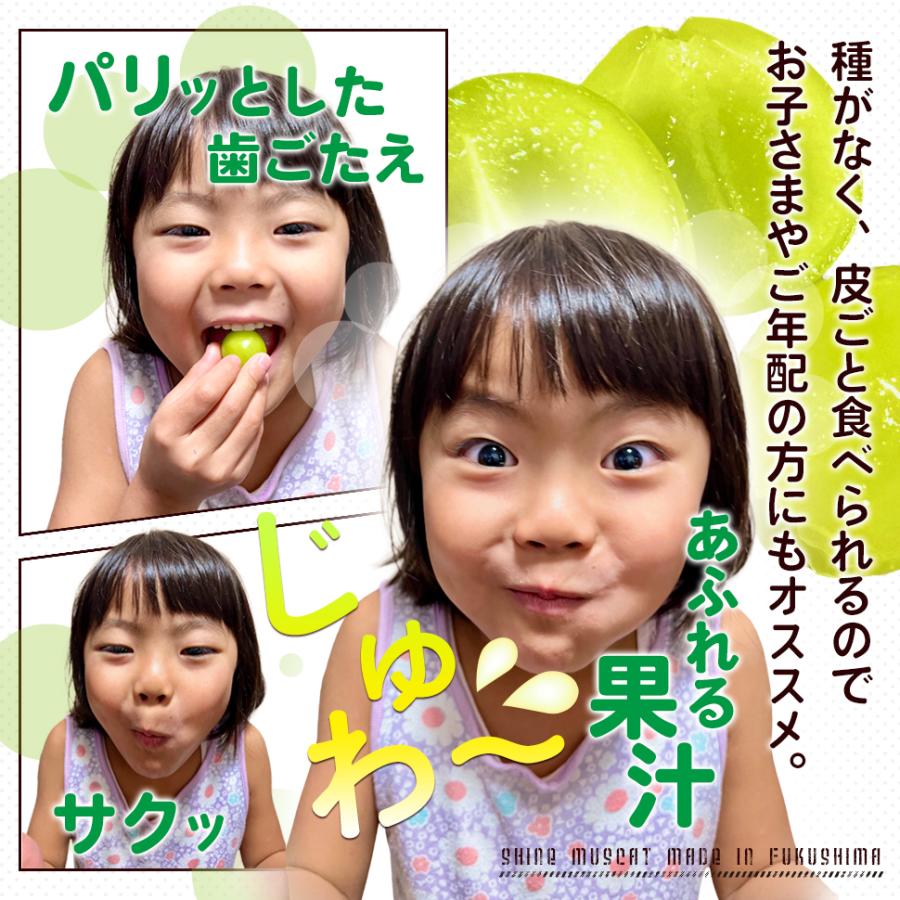 シャインマスカット ２kg箱 （２〜５房入り） 福島 うまい 訳あり ギフト 贈答用 箱入り ぶどう 極甘プレミアム のし メッセージカード_3