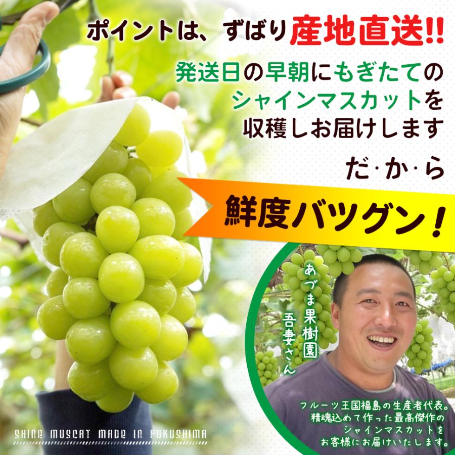 シャインマスカット ２kg箱 （２〜５房入り） 福島 うまい 訳あり ギフト 贈答用 箱入り ぶどう 極甘プレミアム のし メッセージカード_4