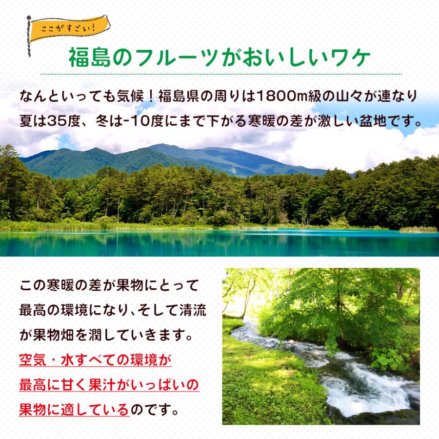 シャインマスカット ２kg箱 （２〜５房入り） 福島 うまい 訳あり ギフト 贈答用 箱入り ぶどう 極甘プレミアム のし メッセージカード_5