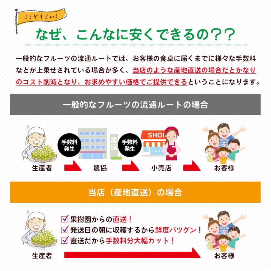 シャインマスカット ２kg箱 （２〜５房入り） 福島 うまい 訳あり ギフト 贈答用 箱入り ぶどう 極甘プレミアム のし メッセージカード_7