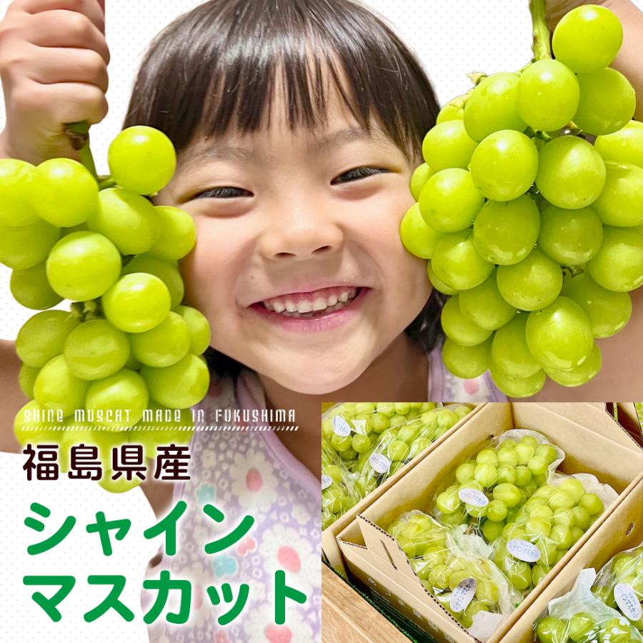 シャインマスカット ２kg箱 （２〜５房入り） 福島 うまい 訳あり ギフト 贈答用 箱入り ぶどう 極甘プレミアム のし メッセージカード_8