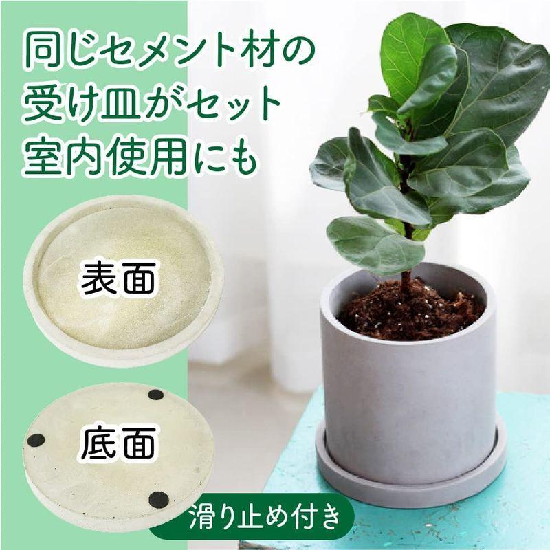 開店祝い 園芸用品 セメント植木鉢 プランター 底穴 受け皿付き 観葉植物 多肉植物 サボテン 鉢植え 飾り インテリア 15cm Www Threeriversofs Com
