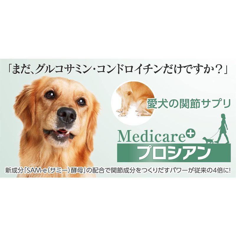 上等 愛犬の関節サプリプロシアン120粒入り babylonrooftop.com.au