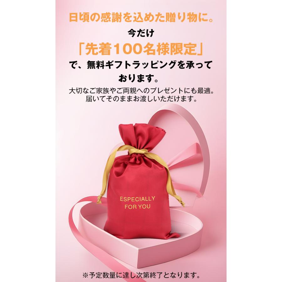 13,980円→11,650円2時間特売】 集音器 高齢者 イヤーカフ型 空気伝導