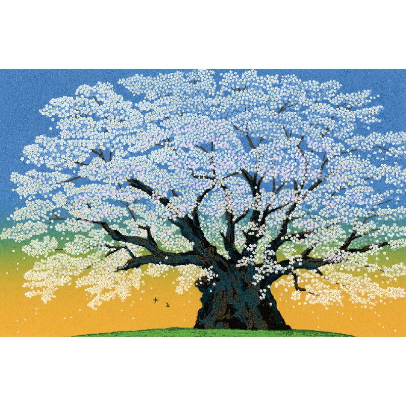 ダウンサス X3(E83) PC25 ズーム ダウンフォースHG BMW 2004/07〜2011