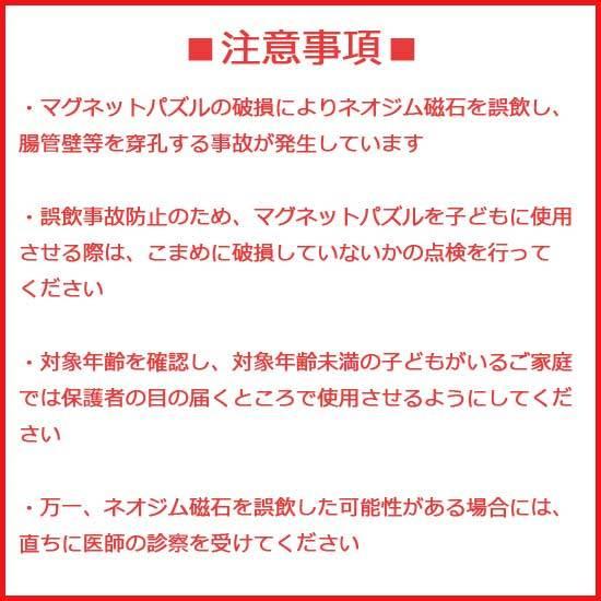 ポイント10倍 期間限定 ボーネルンド マグフォーマー 長方形セット 12ピース｜soprano｜03