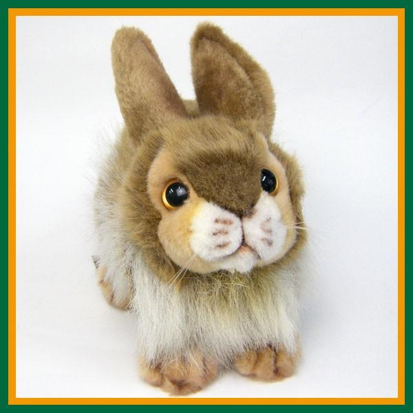 ハロッズ ぬいぐるみ うさぎ（ぬいぐるみ）｜おもちゃ | ゲーム