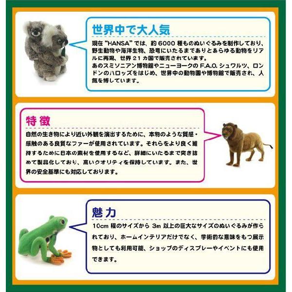 HANSA ハンサ ぬいぐるみ 3642 アカカンガルー かんがるー リアル 動物の画像