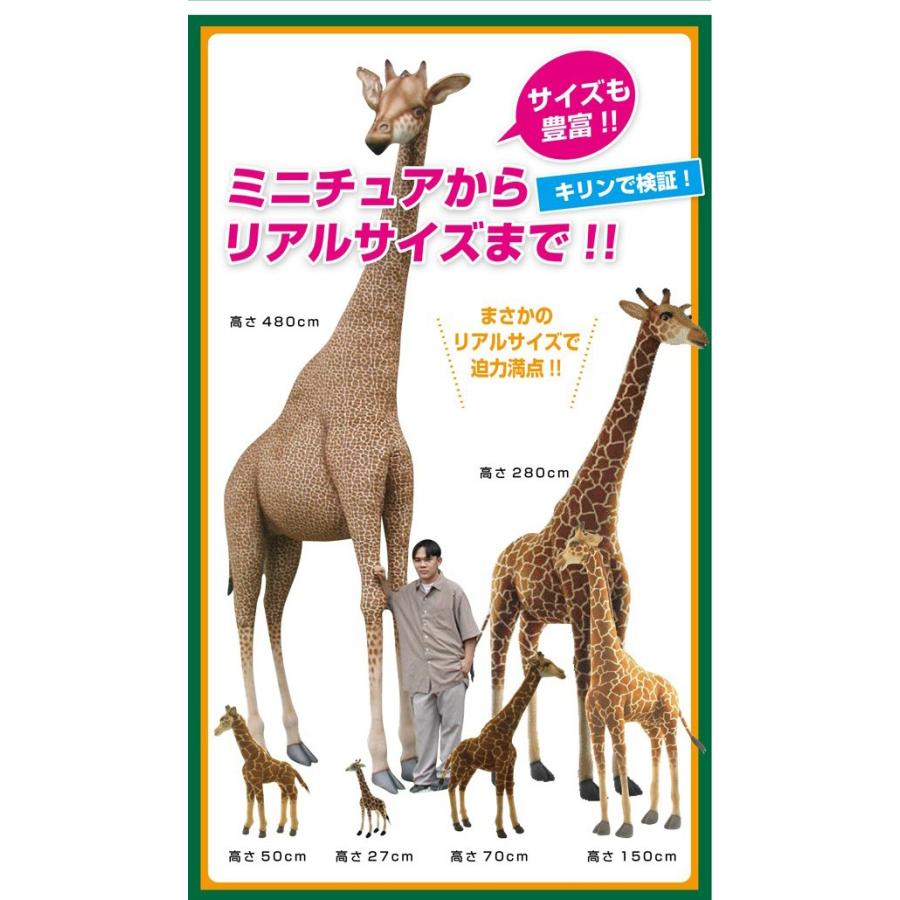 ポイント10倍 期間限定 HANSA ハンサ ぬいぐるみ 7047 カラカル 猫 ねこ ネコ リアル 動物｜soprano｜04