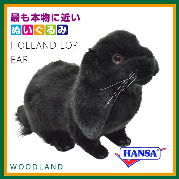 黒ウサ 穹がしゃべる!お気に入り黒ウサぬいぐるみ 「ハルカナソラ」 黒うさぎぬいぐるみ | ズーラシアンブラスショップ