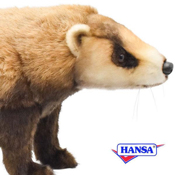 HANSA ハンサ ぬいぐるみ 8148 ニホンアナグマ 日本アナグマ 熊 ベアー リアル 動物