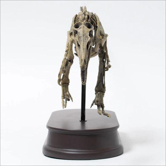 フェバリット 恐竜フィギュア スケルトンモデル ベロキラプトル Fds 606 ソプラノyahoo 店 通販 Yahoo ショッピング