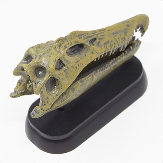 フェバリット カマロサウルス スカル&ジョーズ 恐竜 頭骨 生き物・恐竜 