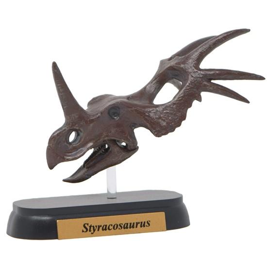 フェバリット ステゴサウルス スカル&ジョーズ 恐竜 頭骨 生き物・恐竜 