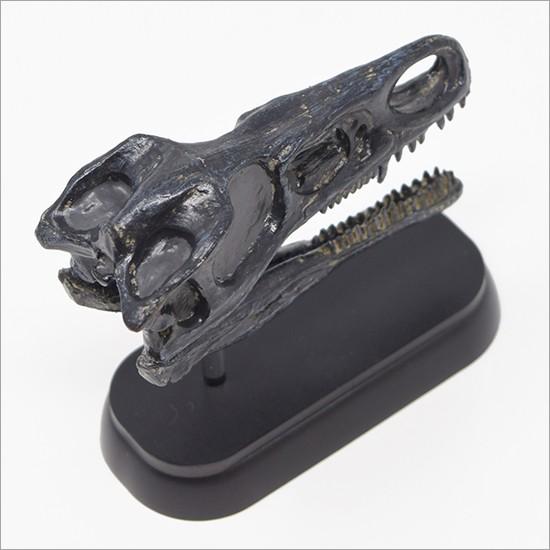 フェバリット カマロサウルス スカル&ジョーズ 恐竜 頭骨 生き物・恐竜 