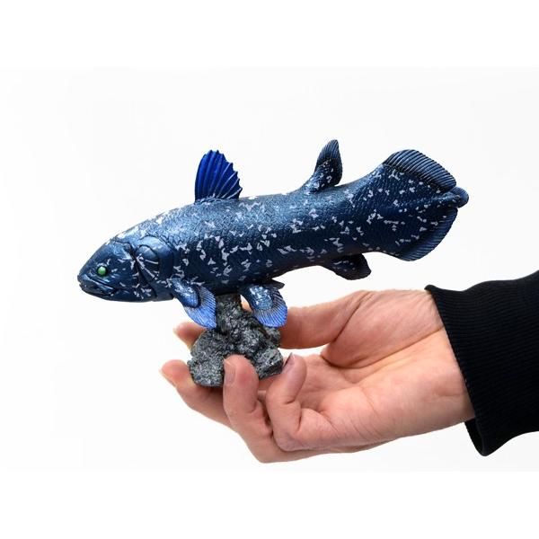 フェバリット 古代魚フィギュア エンシェントフィッシュ ソフトモデル