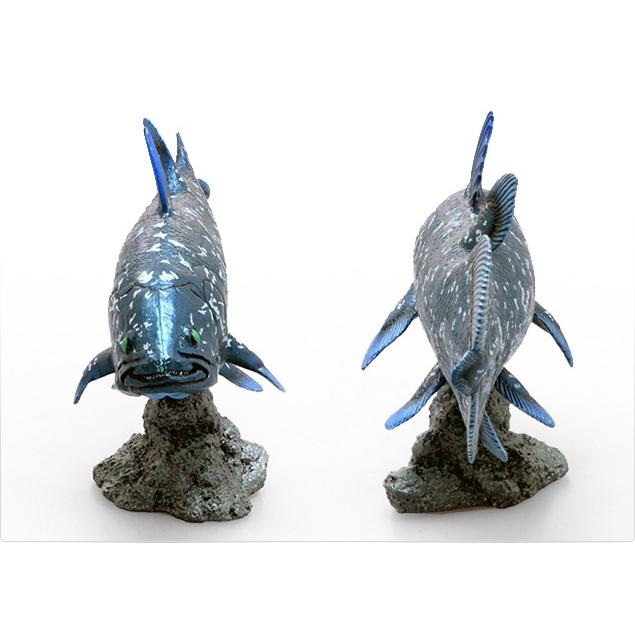 フェバリット 古代魚フィギュア エンシェントフィッシュ ソフトモデル