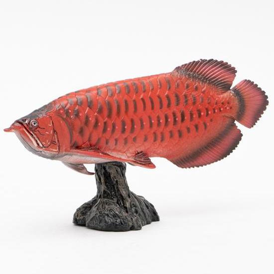 有名人芸能人 フェバリット 古代魚フィギュア エンシェントフィッシュ ソフトモデル アジアアロワナ 紅龍 Wantannas Go Id