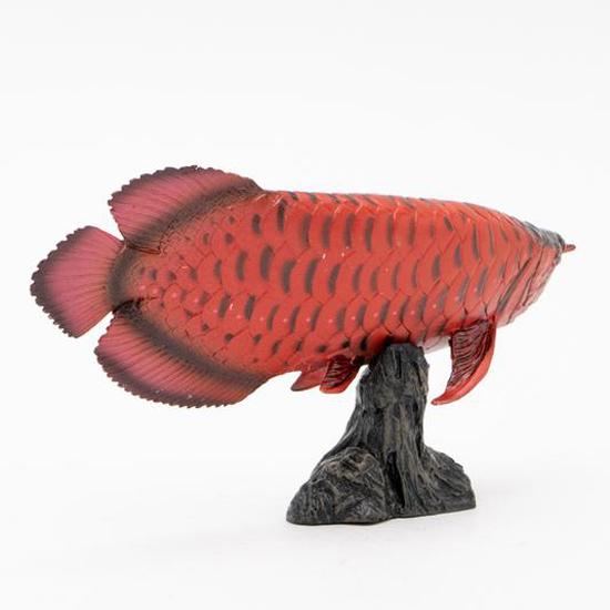 有名人芸能人 フェバリット 古代魚フィギュア エンシェントフィッシュ ソフトモデル アジアアロワナ 紅龍 Wantannas Go Id