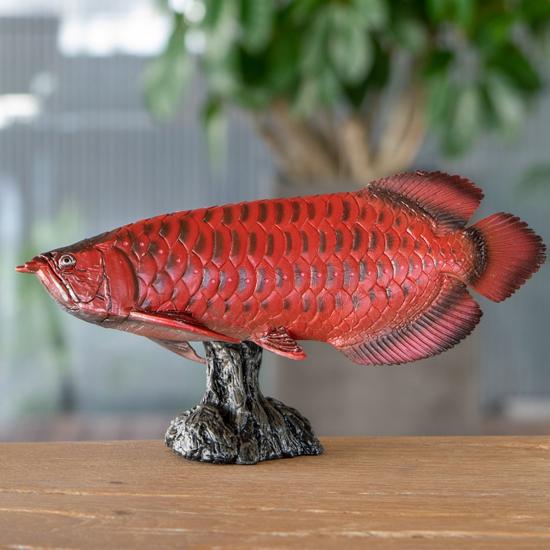 有名人芸能人 フェバリット 古代魚フィギュア エンシェントフィッシュ ソフトモデル アジアアロワナ 紅龍 Wantannas Go Id