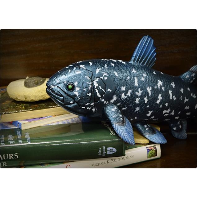 フェバリット 古代魚フィギュア ビニールモデル シーラカンス