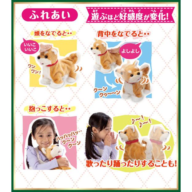 イワヤ おいで よってくる 部屋ともワンちゃん柴犬 電動動物 イワヤ おいで よってくる 部屋ともワンちゃん柴犬 電動動物