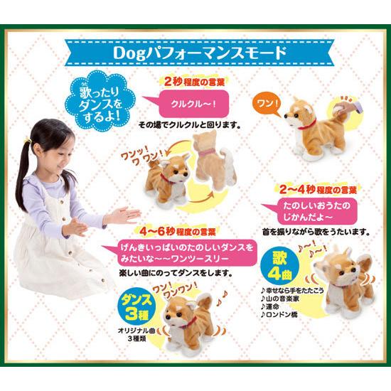 イワヤ おいで よってくる 部屋ともワンちゃん柴犬 電動動物